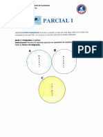 Matematica 