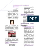 Inserciones Periféricas en Prótesis Fija