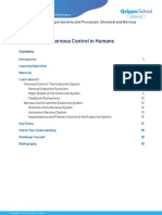 Chemical and Nervous Control in Humans: Lesson 12.3