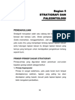 StratigrafidanPaleontologi