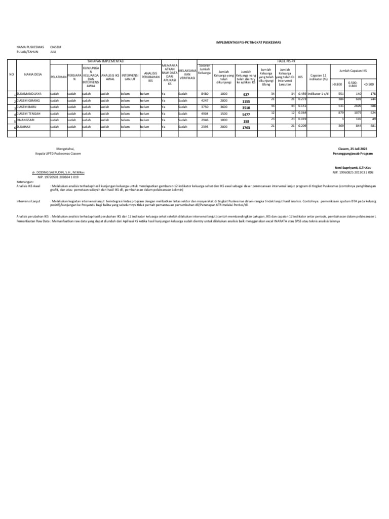 Format Laporan PIS PK Puskesmas JULI 2023 | PDF