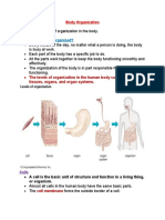 Body Organization