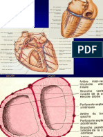 Cardiopathie ischémique Généralités 2006 ppt - 54P