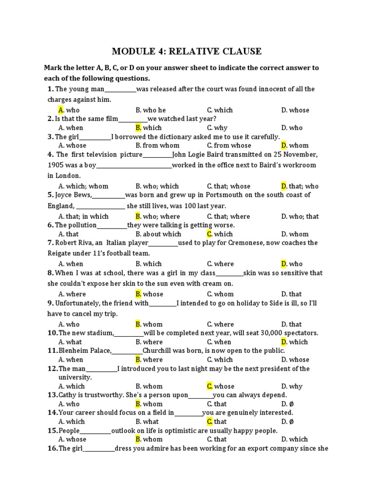 Relative Clause Exercises and Answers | PDF | Art | Young Adult