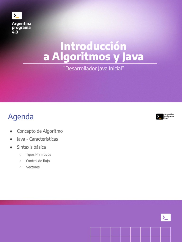 Clase 1 - Introduccion A Algoritmos y Java | PDF