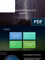 Fenomenele Electrice În Natură