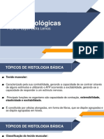 Bases Biológicas - UN4 - Vídeo 08