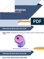 Bases Biológicas - UN1 - Vídeo 02