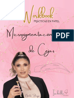 Workbook Pra Ctica en Papel Micropigmentacio N de Cejas