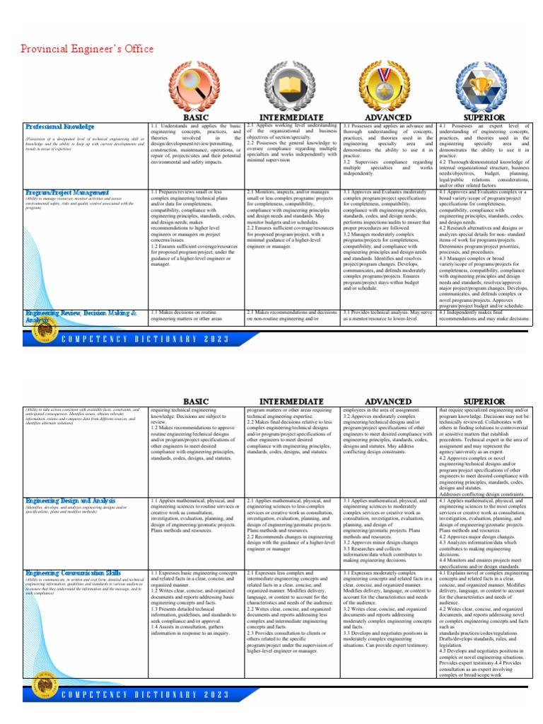 PEO Work Level Standards Overview | PDF | Engineering | Expert