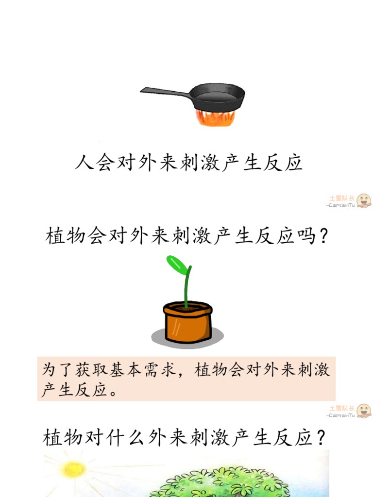 【笔记】4.1 植物对外来刺激作出反应 | PDF