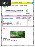 Sesion 2 - Ciencia y Tecnologia - 28 - 09 - 22 Las Plantas y Su Estructura