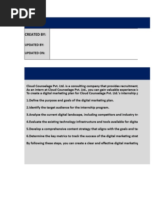 Template Digital Marketing Strategy INTERNS (3)