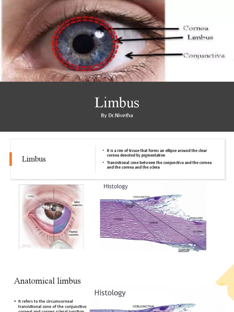 Limbus PDF