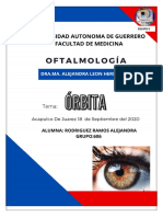 Órbita Oftalmologia Primer Trabajo