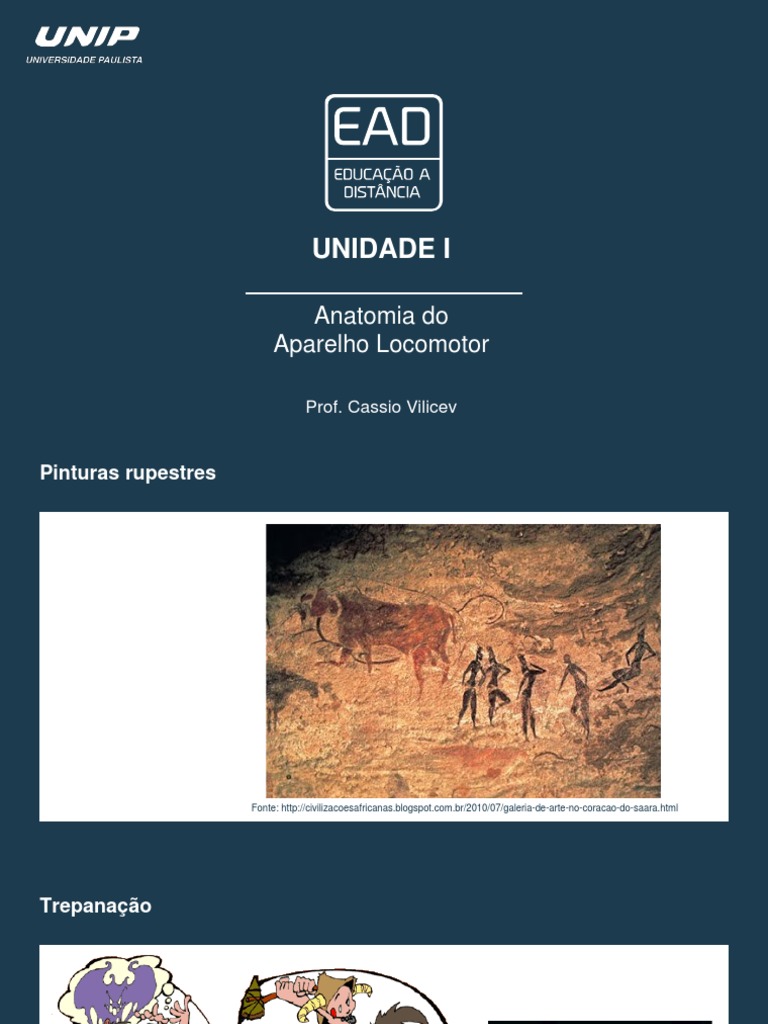 Anatomia Do Aparelho Locomotor Slide Pdf