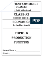 6 - Productioin Function