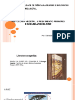 Aula 4. Histologia Vegetal - Crescimento 1rio e 2rio de Raiz Alunos