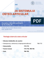 10 - Robbins Osteo-Articular Romana