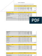Gastos Generales Pistas y Veredas Apata