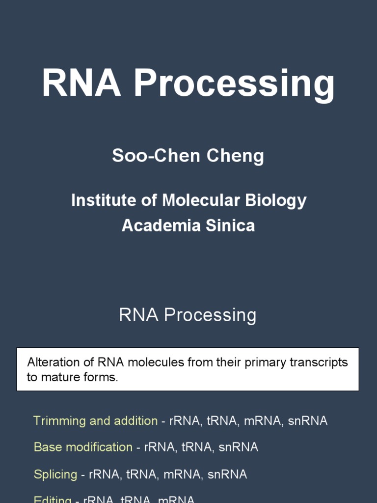 10 23 2006 MCB RNA Processing Cheng | PDF | Rna Splicing | Messenger Rna