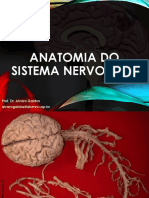 Aula - Anatomia Do Sistema Nervoso - I