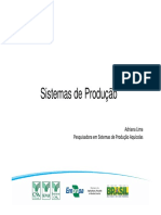 Aula 10 - Sistemas de Produção