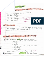 7.the Urinary System