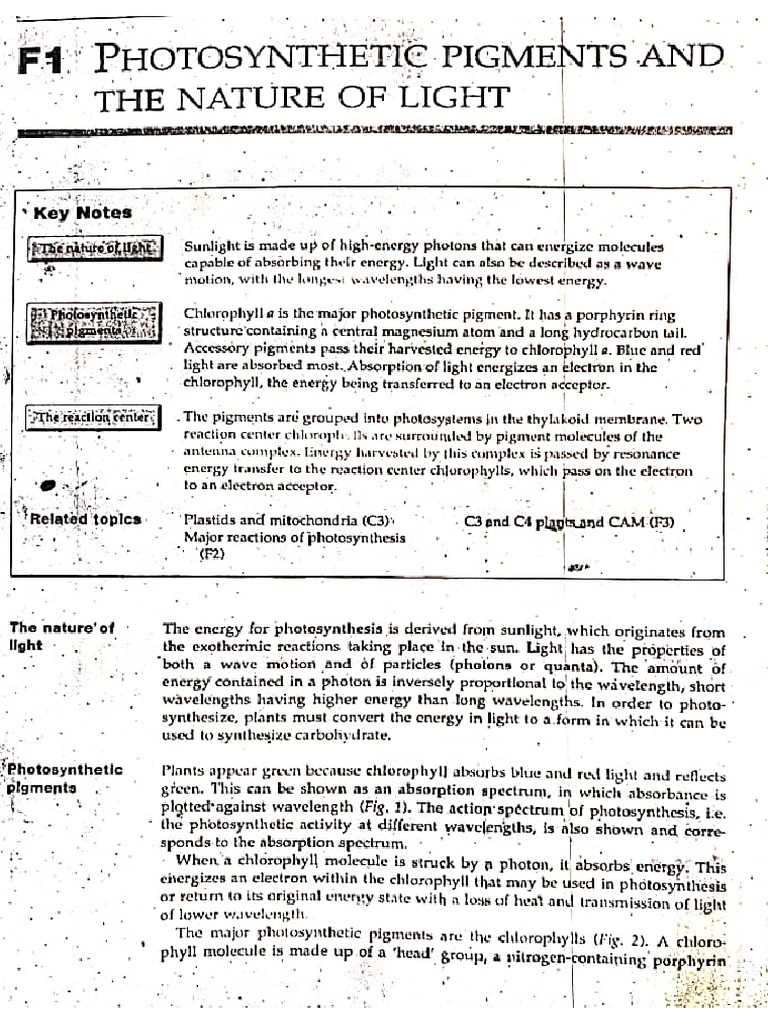 BIO 101 Handout - New | PDF