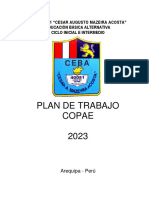 Plan Copae Mazeyra 2023