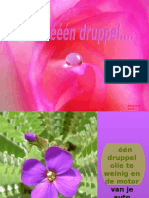 Druppel A