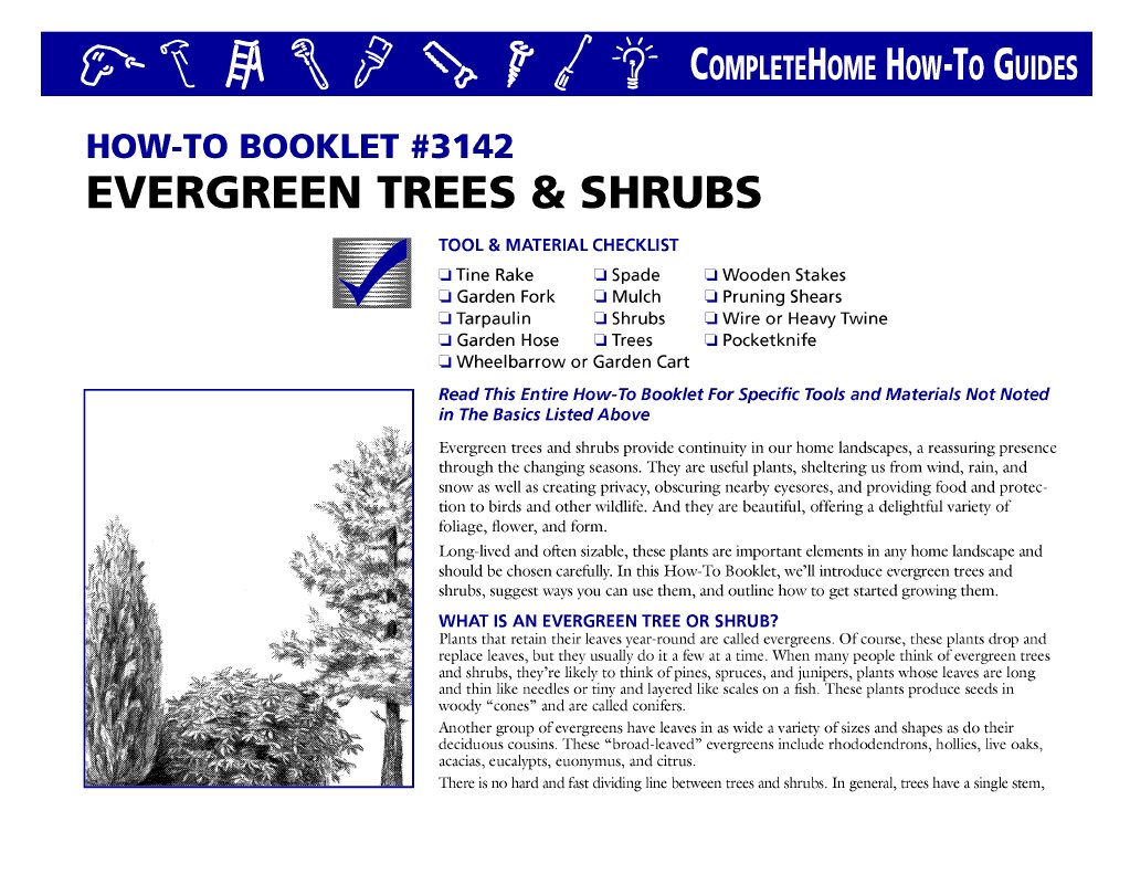 Evergreen Trees and Shrubs PDF