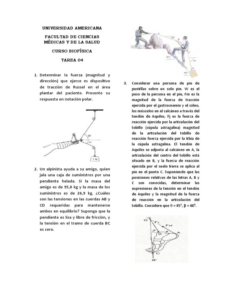 Tarea 04 (2023) | PDF | Ciencia y matemáticas