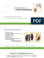 Alteraciones Del Ciclo y La Fertilidad de Causa 2