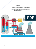 Ensayo, Energia Nuclear, Efectos Biologicos de La Radiacion Ionizante y La Contaminacion Radioactiva