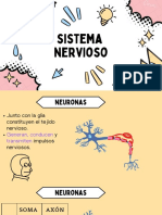 Sistema Nervioso PARTE 1