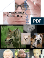 Ingenieria Genetica Parte 1