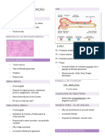 Função Renal