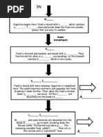 Digestive System Flow Chart | Digestion | Stomach
