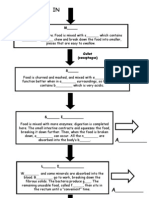 Digestion Flow Chart