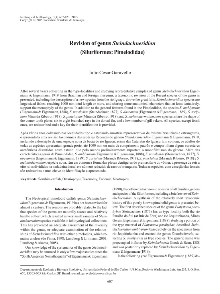 Revision of Genus Steindachneridion PDF Zoologia Taxonomia (Biologia)