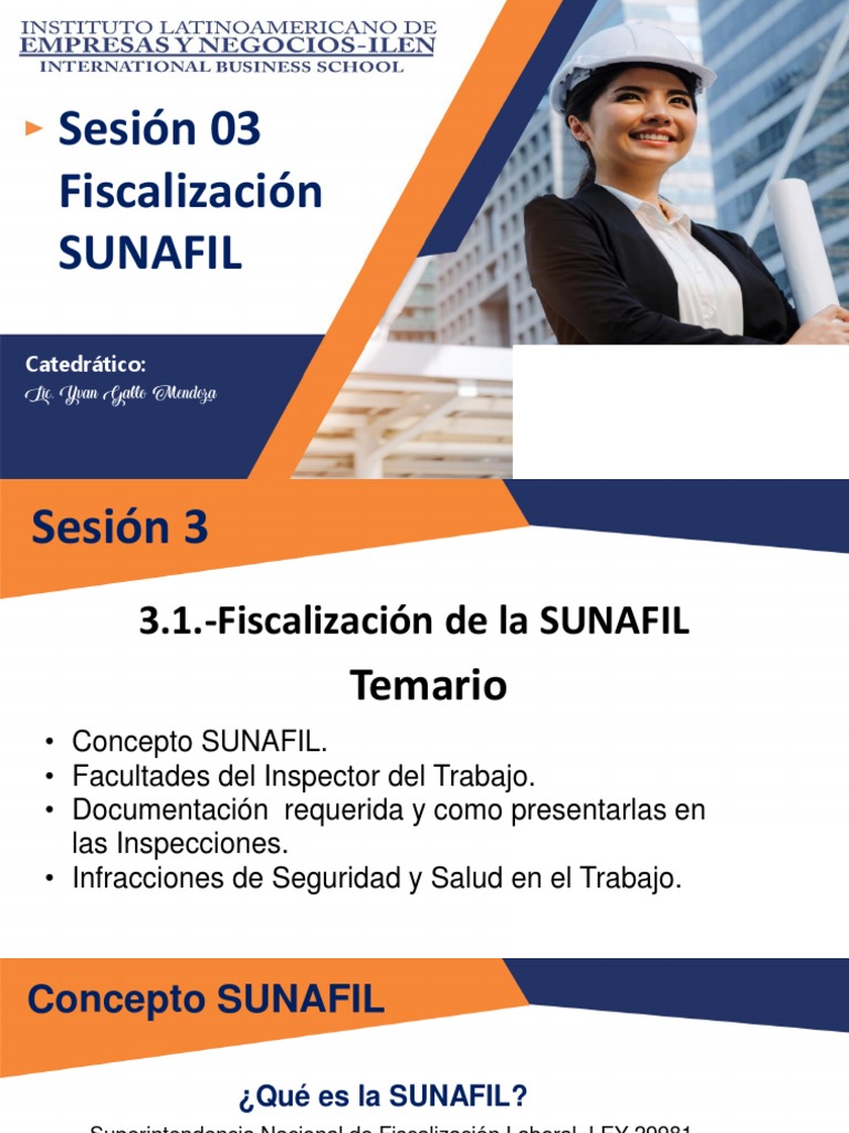 Concepto y Funciones de SUNAFIL | PDF