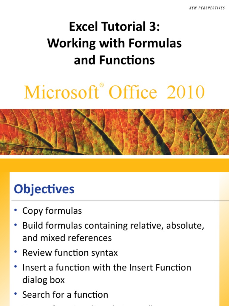 Lecture 6. MS Excel 3 | PDF