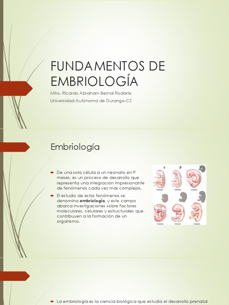 Fundamentos de Embriología | PDF