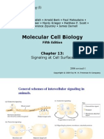 Molecular Cell Biology: Cell To Cell Signaling (I)