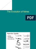 Evolution of fishes