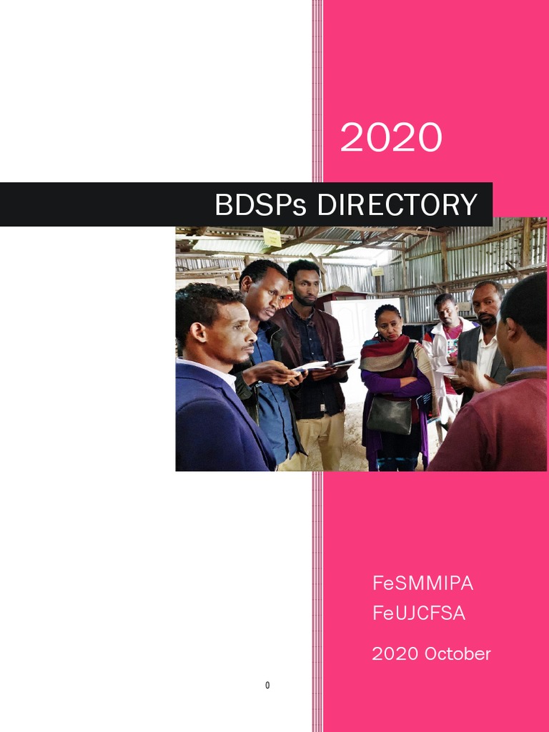 BDSP Directory Draft Ver3 | PDF