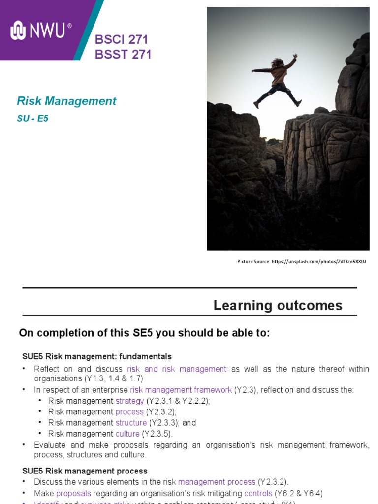 BSCI+BSST271+-+SU E5++Risk+Management | PDF