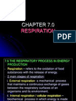Chapter 7 Respiration