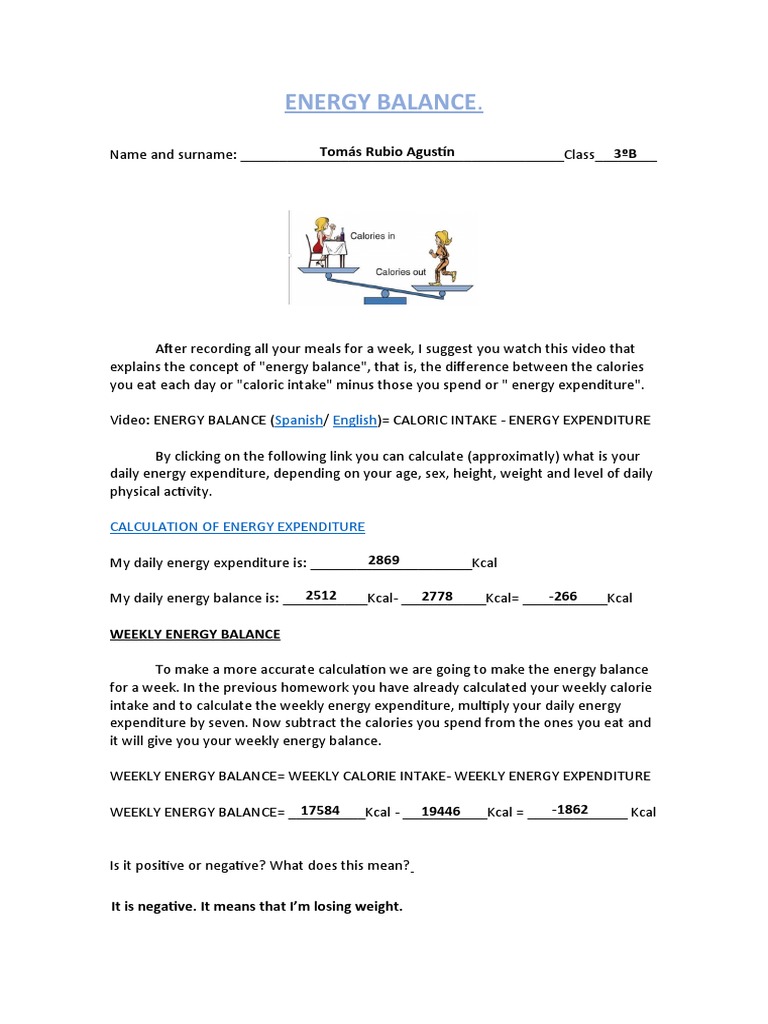 Understanding Energy Balance Basics | PDF